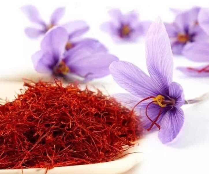 Saffron-extract-crocus-sativus-pure-quality-powder-pure