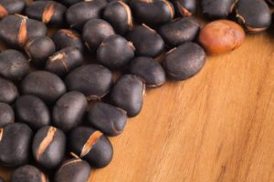 Organic Mucuna Pruriens Bean Extract