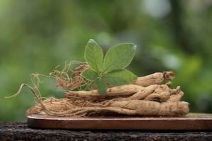 Organic Ginseng Root Extract 20x