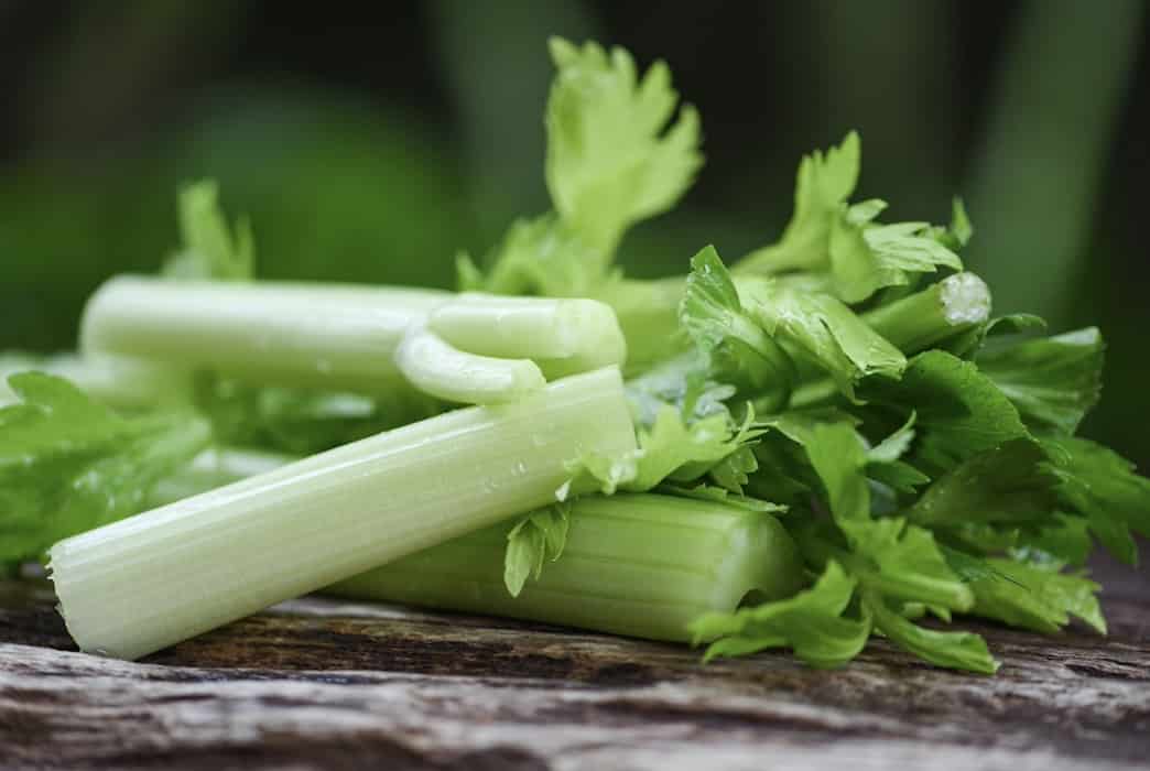 Green Celery with Seeds
