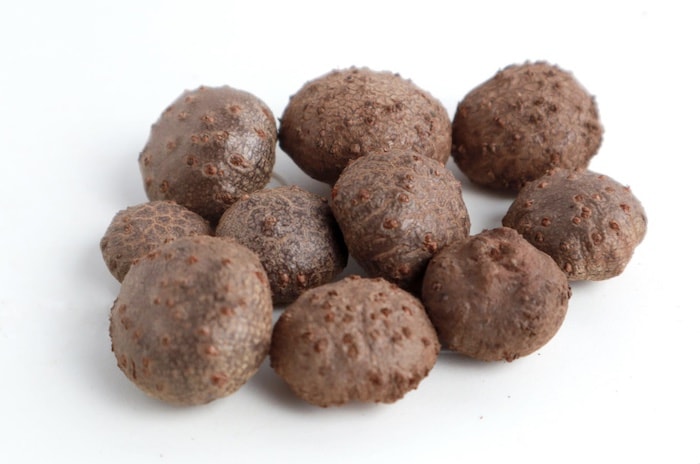 Konjac root is the raw material for glucomannan