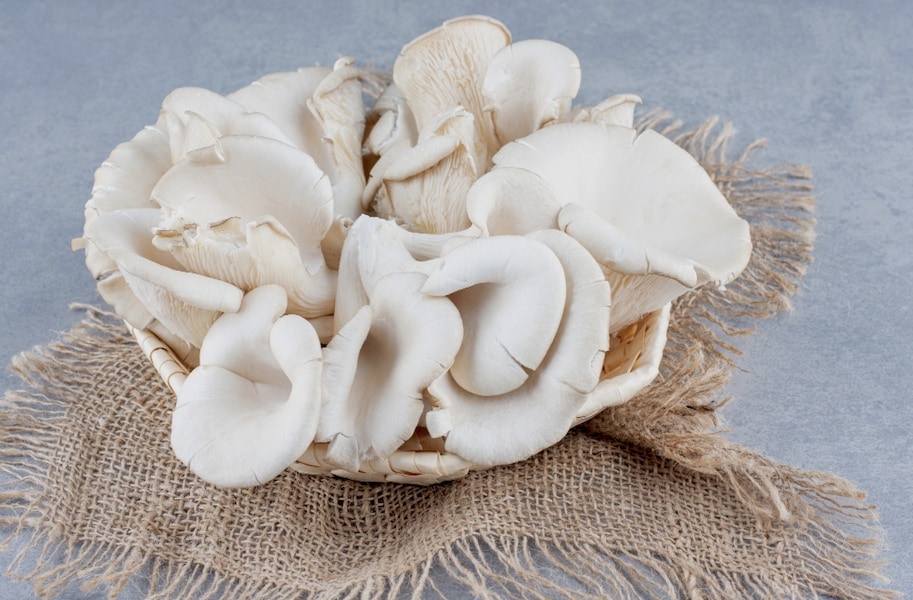 Fresh Oyster Mushrooms (Pleurotus ostreatus)