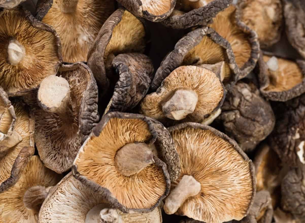 Dried Shiitake mushrooms