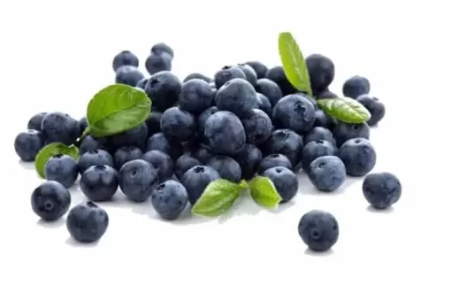 Organic Blueberry Juice Powder: 100g-1kg – Anthocyanins - Image 2