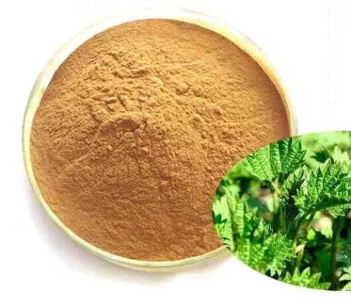 Organic Nettle Extract Powder: 100g-1kg – Health - Image 3