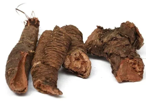 Organic Rhodiola Rosea Root Extract: 100g-1kg – Arctic - Image 2