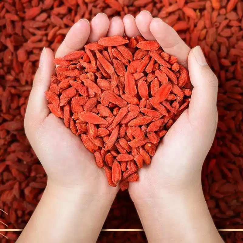 Organic Goji Berry Juice Powder: 100g–1kg – Antioxidant & Vitality Support - Image 2