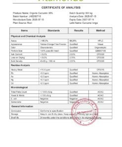 Curcumin 95% COA VitaMondo New Stamped